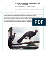 ACTIVIDAD 03 DE JUNIOrtan Los Animales Amenazados en El Perú