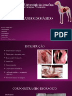 Seminario Tec. Cirurgica Corpo Estranho Esofágico