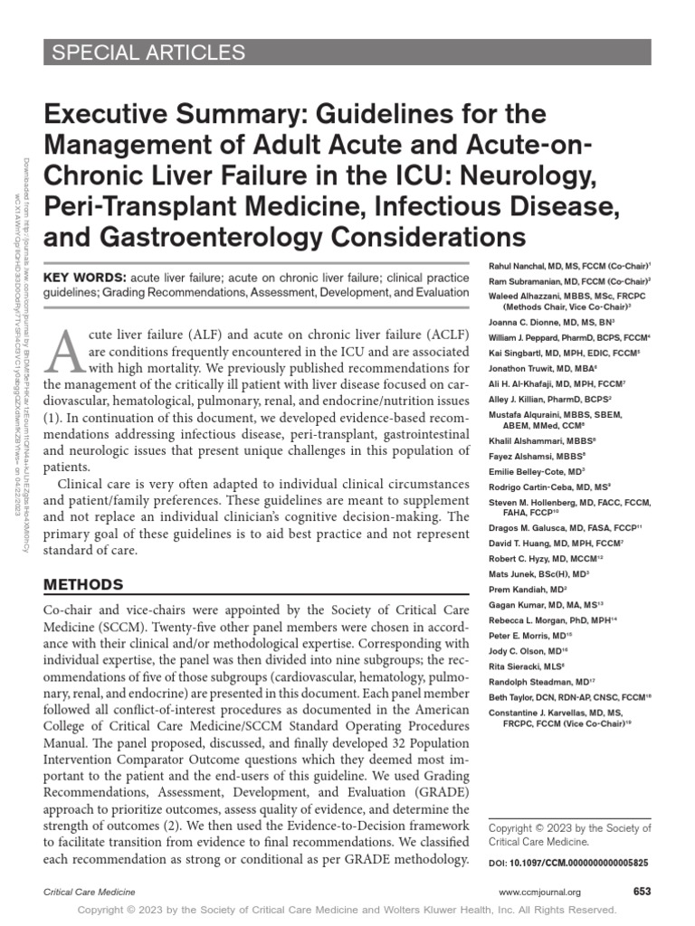 Executive Summary Guidelines For The Management.10 PDF