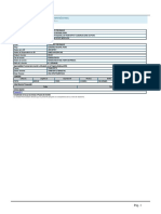 Exportacion FORMATO PUENTE PDF