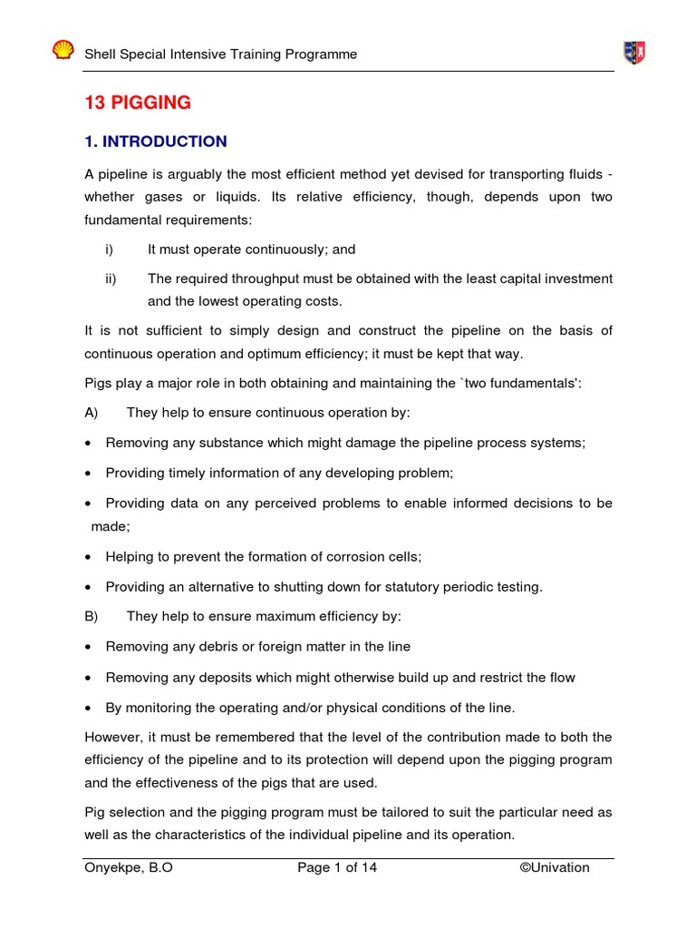 13 Pigging | PDF | Pipeline Transport | Pipe (Fluid Conveyance)