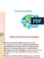 Promosi Kesehatan Review