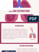 Sistema Respiratorio