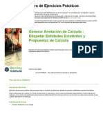 Generar Anotación de Calzada - Etiquetar Entidades Existentes y Propuestas de Calzada TRNC01235-4-0001 PDF