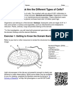 Investigation - What Are The Different Types of Cells