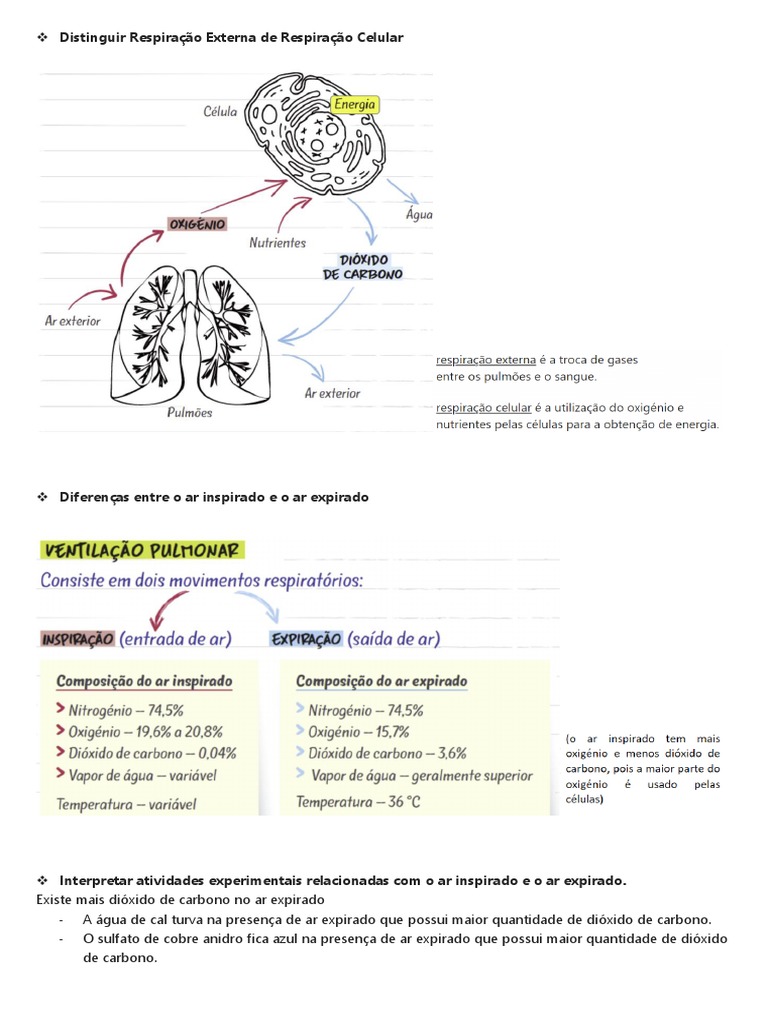 Resumos Sistema Respirat rio 6 - 1686090517