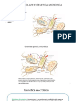 Genetica microbica 1 Trasformazione-trasduzione.pdf