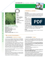 Cultiver Jardinier Avoine PDF