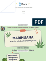 Marihuana 279522 Downloable 983505