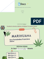 Marihuana 279522 Downloable 983505