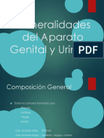 Generalidades Del Aparato Genital y Urinario