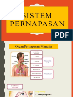 Sistem Pernapasan