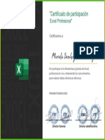 Certificado de Excel
