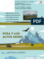 G7 - Puna y Los Altos Andes