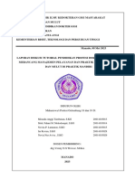 Laporan Manajemen Praktik Mandiri (Gel 18-19D)