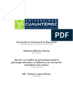 Escrito Los Estilos de Aprendizaje Desde La Psicología Educativa, La Didáctica y La Concepción Hemisférica Del Cerebro