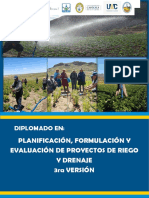 Diplomado Final PDF