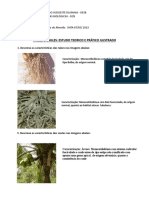 Estudo Dirigido Ilustrado Raizes e Caules Turma Histo PDF