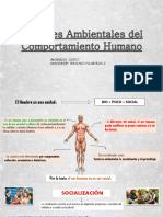 PSICOLOGÍA - Tema 04 Factores Ambientales PDF