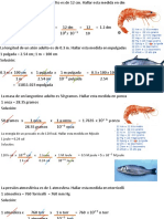 Medidas de langostinos y peces en diferentes unidades