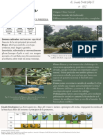 Eriobotrya Japonica - GONZALEZ BAUTISTA Y 6°8 PDF