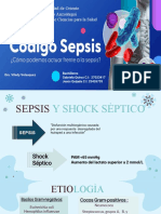 Sepsis y shock séptico: etiología, manifestaciones clínicas, complicaciones y tratamiento
