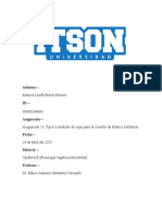 Asignación 13. Tipos y Medidas de Cajas para La Cosecha de Frutas y Hortalizas PDF
