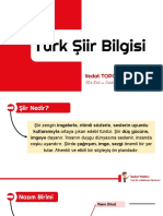 Türk Şiir Bilgisi