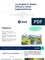 Redes Tróficas y Ciclos Biogeoquímicos