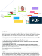 Sistema Digestório PDF