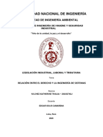 Monografía 1 - Legislación - Vilchez Katherine PDF