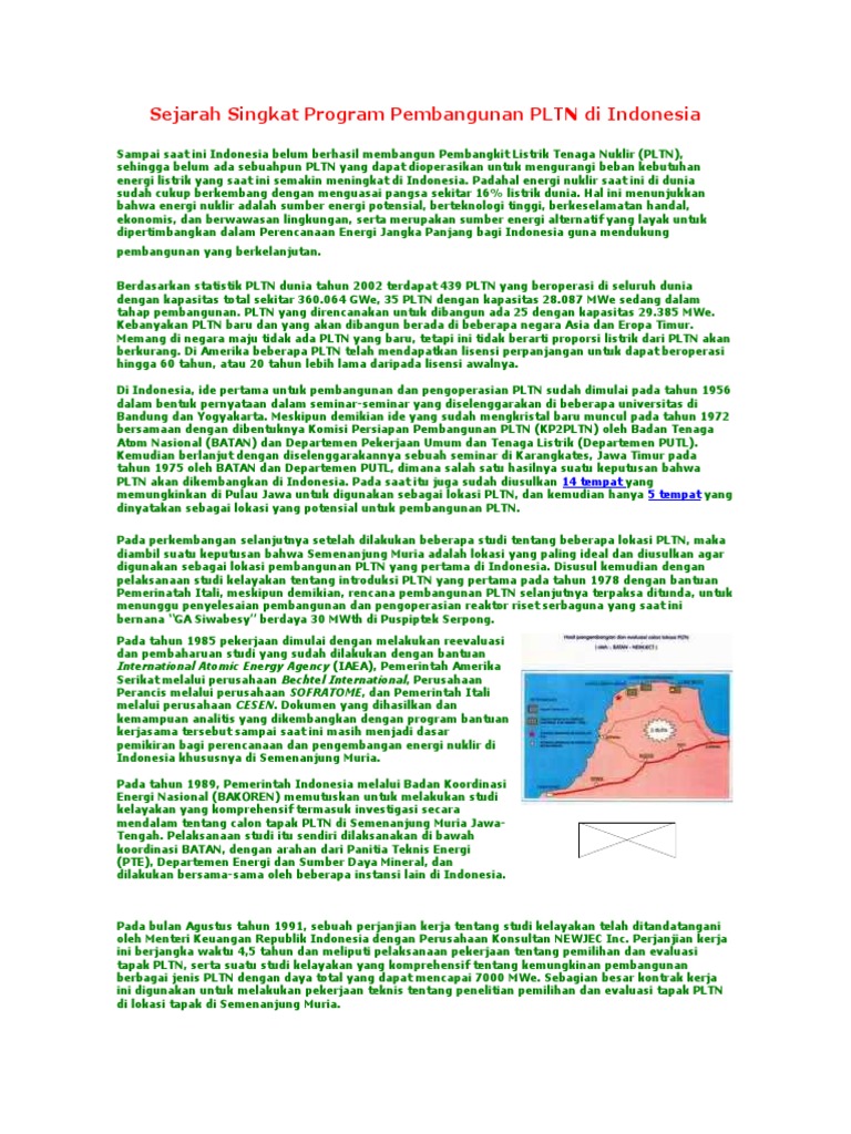 Pencetus Pembangunan PLTN Indonesia | PDF | Hukum | Sains & Matematika