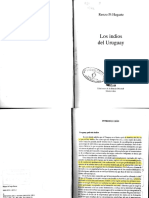 Renzo Pi Hugarte Los Indios Del Uruguay 2 PDF Free