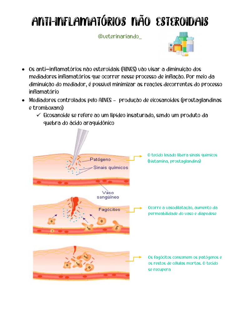 Os principais mecanismos de ação dos anti-inflamatórios não esteroidais ...