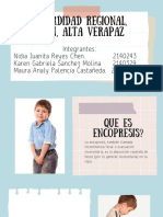 Encopresis PDF