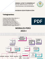 Paradigma de integraciòn-IE PDF
