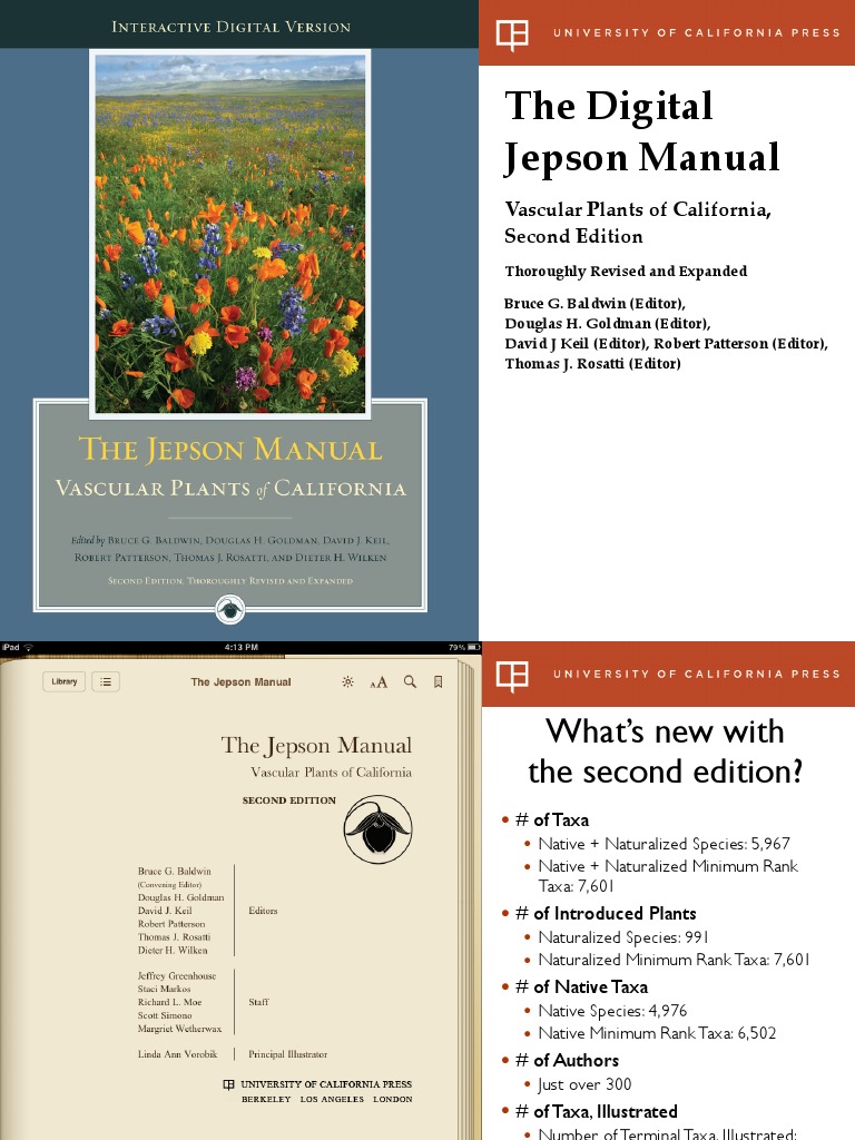 Jepson Manual of Vascular Plants PDF PDF Taxon
