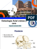 2.1 Osteología Axial Cráneo y Cara PDF