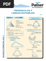 G - Sem 1 - Triangulos y Lineas Notables