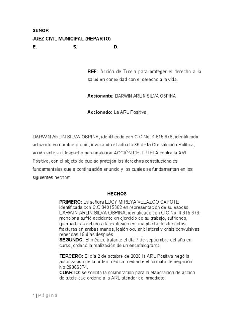 Modelo Accion de Tutela | PDF | Derecho Constitucional | Justicia