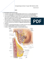 Semiología y Patalogía Benigna de Mama CX HBLT PDF