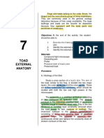 Act07 Toad External Anatomy Discussion