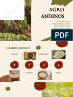 GRANOS ANDINOS-1 z