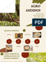 Granos Andinos-2