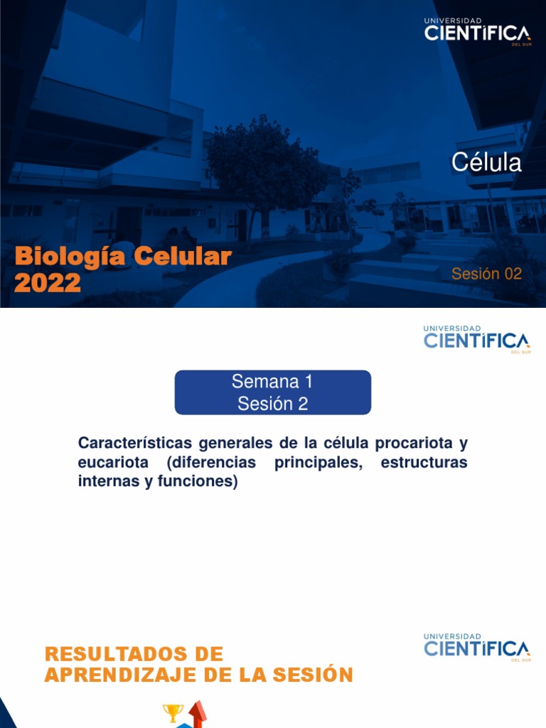 02 - Célula | Descargar gratis PDF | Biología Celular) | Organismos