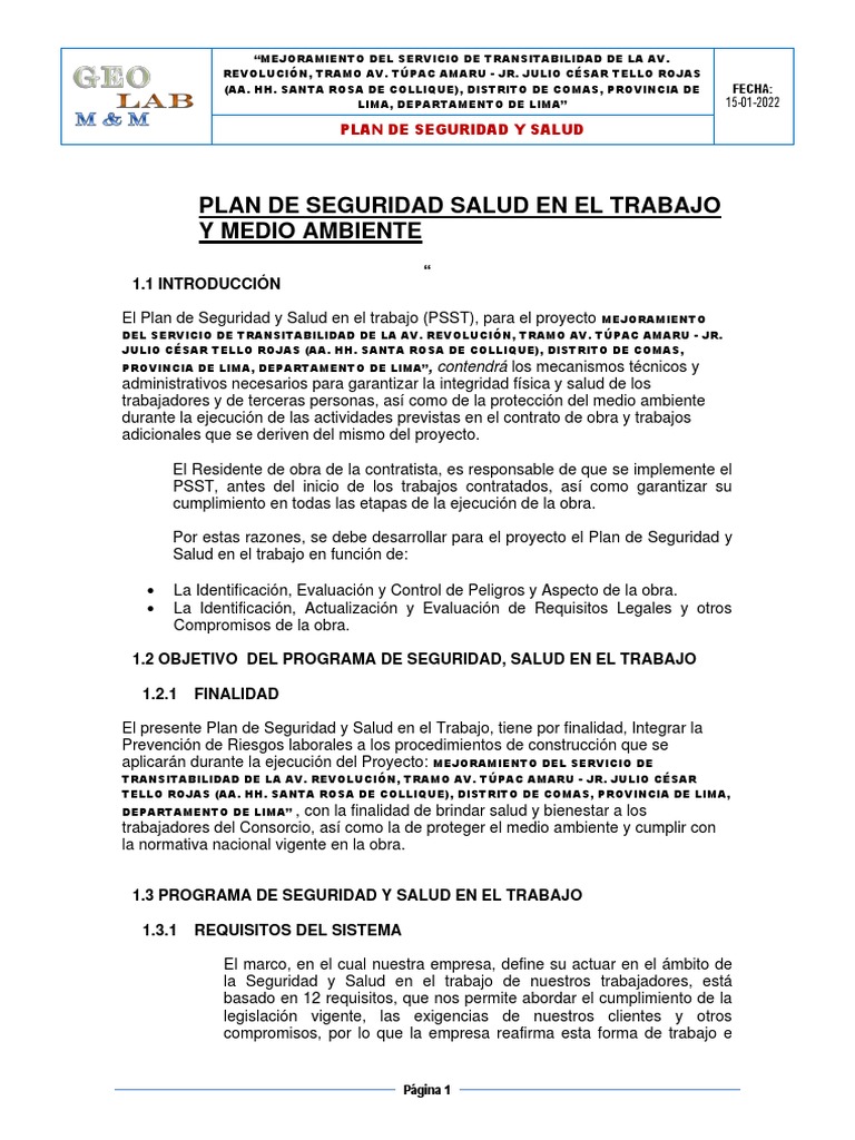 Plan de Seguridad y Salud en El Trabajo Ok PDF | PDF | Entorno natural ...
