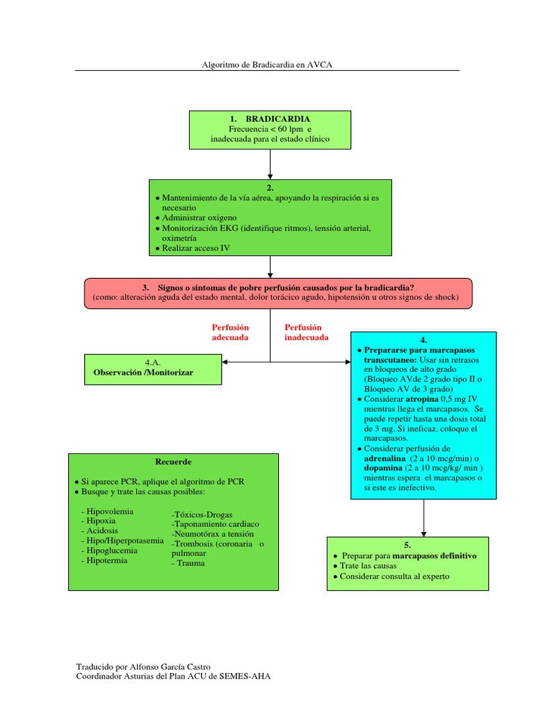 Algoritmo 1 PDF Medicina CLINICA Especialidades Medicas