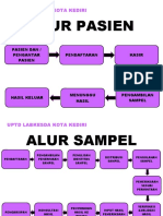 Alur Sampel Dan Pasien