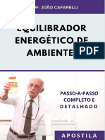 01 - Apostila Equilibrador Energetico PDF