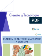 Función de Nutrición